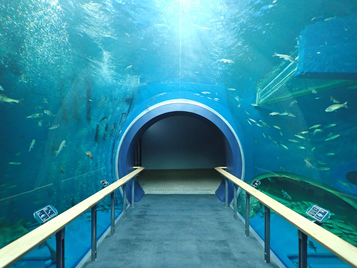 小さなびわ湖水族館