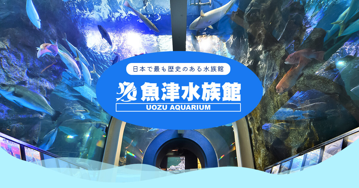魚津水族博物館