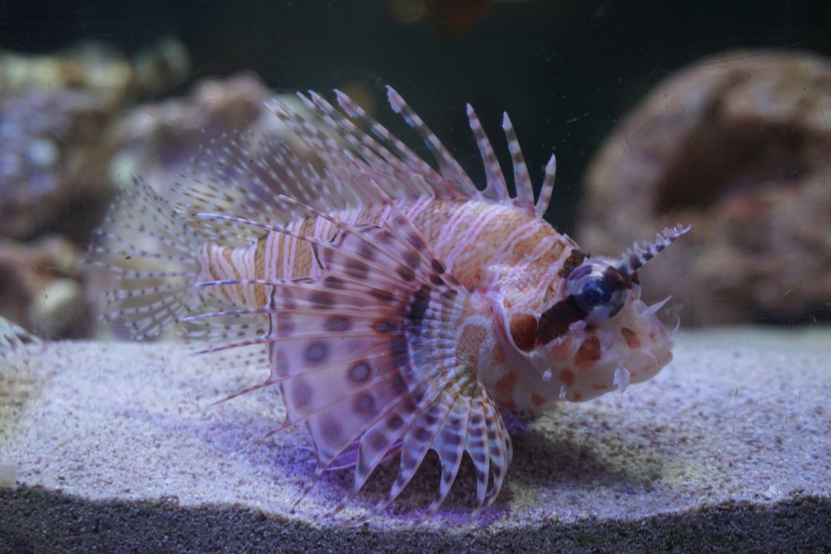 浜名湖体験学習施設 ウォット