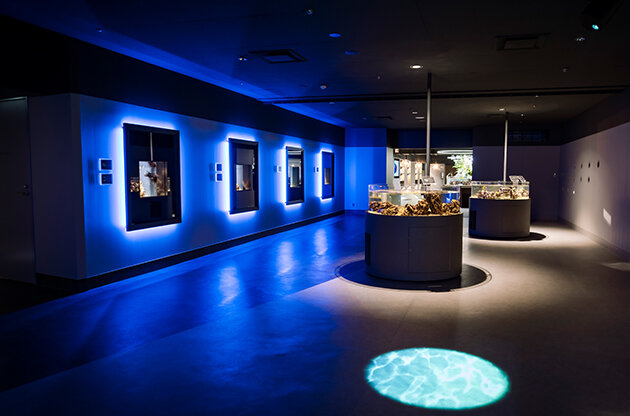 SMART AQUARiUM SHIZUOKA
